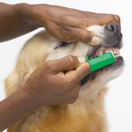Dedo Escova de Dentes p/ Cão (par)