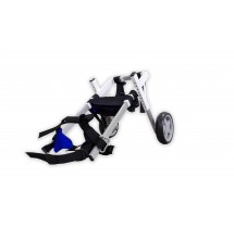 Kart para Cão