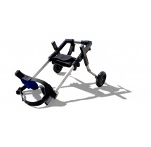 Kart para Cão