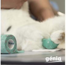 FUN STRAP Ligaduras Elásticas e Coesivas