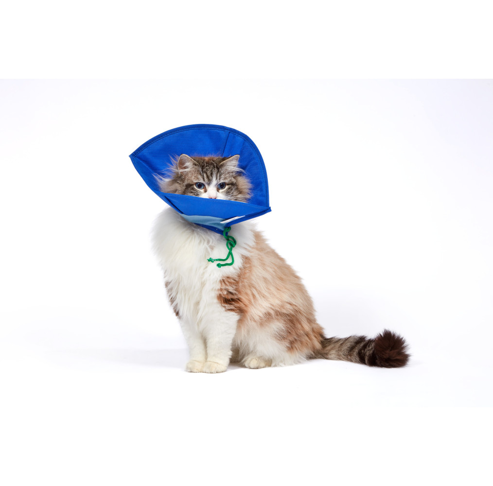 Colar isabelino TNT - SoftE Collar