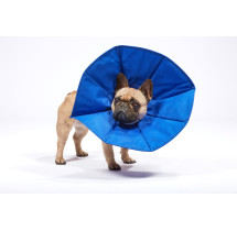 Colar isabelino TNT - SoftE Collar