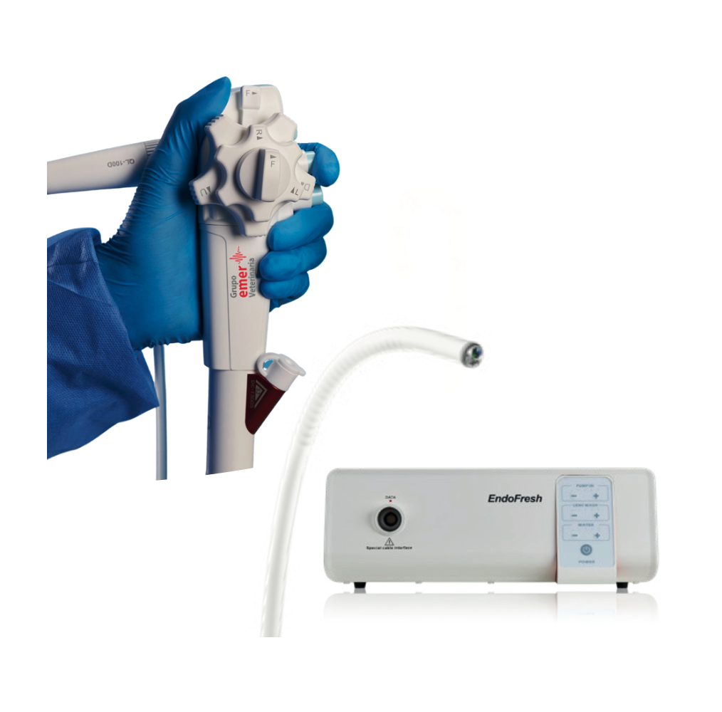 Endoscopios Endofresh
