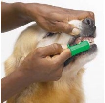 Cepillo de Dientes p/ perro (par)