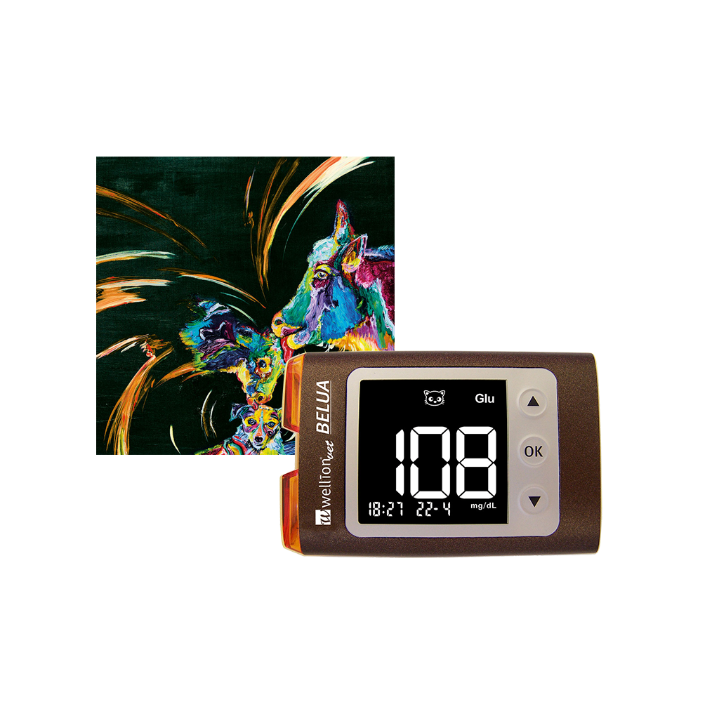 Medidor Belua Corpos Cetónicos + Glucose