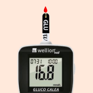 Glucometro